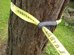 kopen Gepersonaliseerde Balance Polyester Tightrope Wandelband Voor Outdoor Sports online manufacture